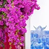 Bougainvillea Plant Diamond Painting