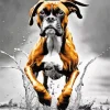 Boxer Brown Dog Diamond Painting