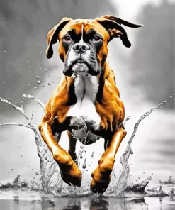 Boxer Brown Dog Diamond Painting