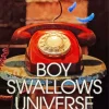 Boy Swallows Universe Poster Diamond Painting
