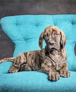 Brindle Dane Puppy Diamond Painting