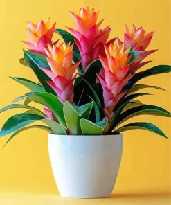 Bromeliad Pot Diamond Painting