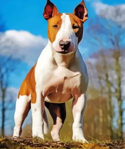 Brown And White English Bull Terrier Diamond Painting