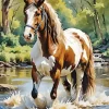 Brown And White Horse Diamond Painting