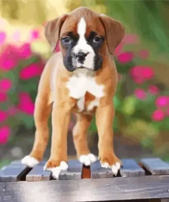 Brown Boxer Puppy Art Diamond Painting