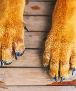 Brown Dog Paws Diamond Painting