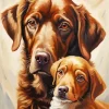 Brown Dogs Face Diamond Painting