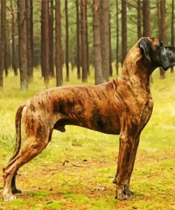 Brown Great Dane With Spots Diamond Painting
