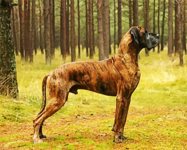 brown great dane with spots Diamond Paints Brown Great Dane With Spots Diamond Painting