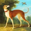 Brown Greyhound Dog Diamond Painting