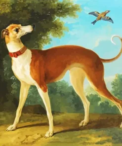 Brown Greyhound Dog Diamond Painting