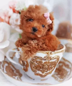 Brown Poodle In Teacup Diamond Painting
