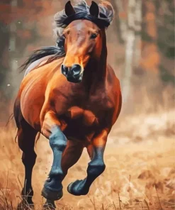 Brown Stallion Diamond Painting