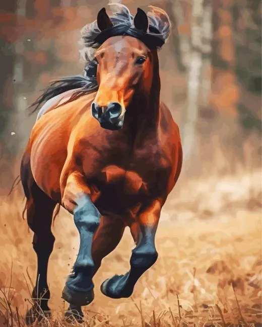 brown stallion Diamond Paintings Brown Stallion Diamond Painting