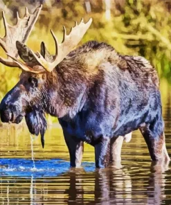 Bull Moose In Water Diamond Painting