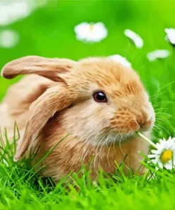 Bunny And Flower Diamond Painting