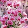 Butterflies And Orchids Diamond Painting