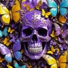 Butterflies And Skull Diamond Painting