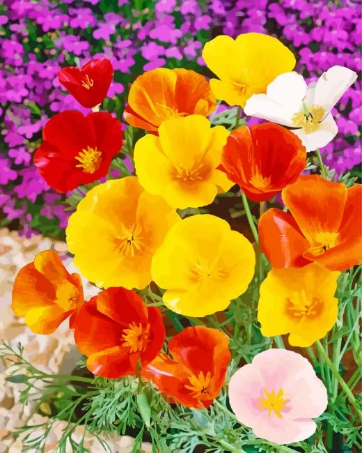 california poppies Diamond Dotz California Poppies Diamond Painting