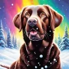 Chocolate Lab And Northern Lights Diamond Painting