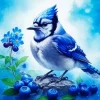Florida Blue Jay Diamond Painting