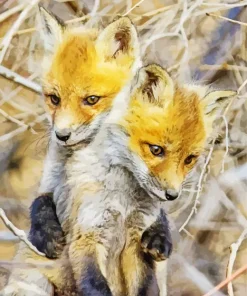 Foxes Hug Diamond Painting