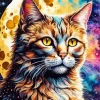 Full Moon And Cat Art Diamond Painting