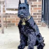 Giant Schnauzer Diamond Painting
