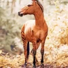 Hybrid Horse Diamond Painting