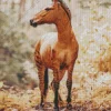 Hybrid Horse Diamond Painting