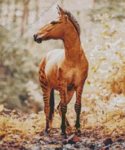 Hybrid Horse Diamond Painting