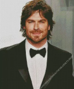 Ian Somerhalder Diamond Painting