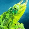 Jacksons Chameleon Diamond Painting