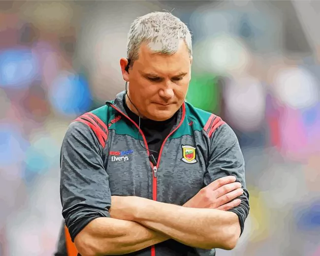 james horan Diamond With Numbers James Horan Diamond Painting