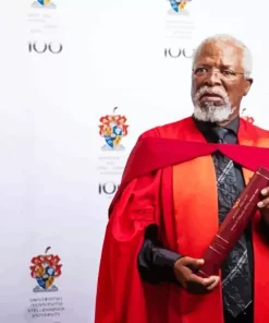 John Kani Diamond Painting