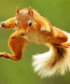 Jumping Squirrel Diamond Painting