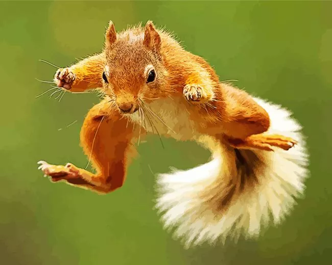 jumping squirrel Diamond With Numbers Jumping Squirrel Diamond Painting