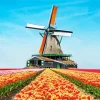 Kinderdijk Tulips Diamond Painting