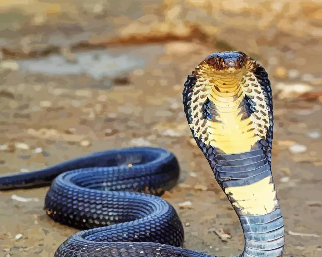 king cobra snake Diamond Paintings King Cobra Snake Diamond Painting