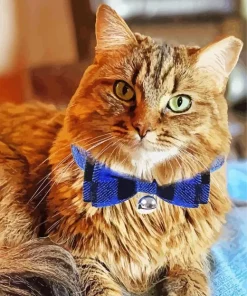 Kitten With Bowtie Diamond Painting