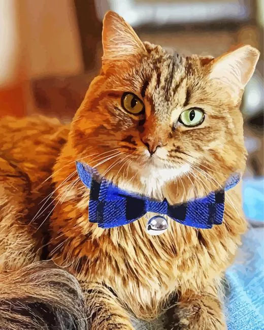 kitten with bowtie Diamond By Numbers Kitten With Bowtie Diamond Painting
