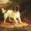 Landseer Dog Diamond Painting
