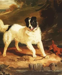 Landseer Dog Diamond Painting