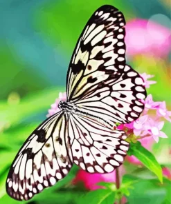 Large Tree Nymph Diamond Painting