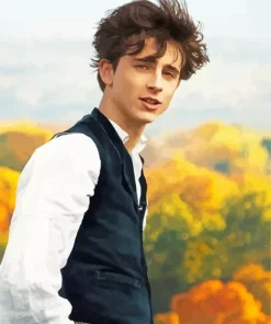 Laurie From Little Women Diamond Painting