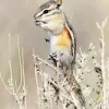 Least Chipmunk Diamond Painting