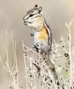 Least Chipmunk Diamond Painting