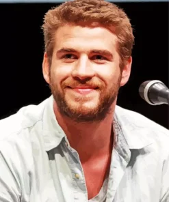Liam Hemsworth Diamond Painting