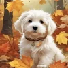 Maltipoo Dog Diamond Painting