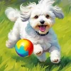 Maltipoo Playing With Ball Diamond Painting